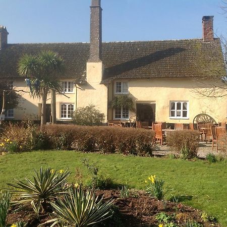 Exmoor Owl & Hawk Centre Bed and Breakfast Bossington Εξωτερικό φωτογραφία