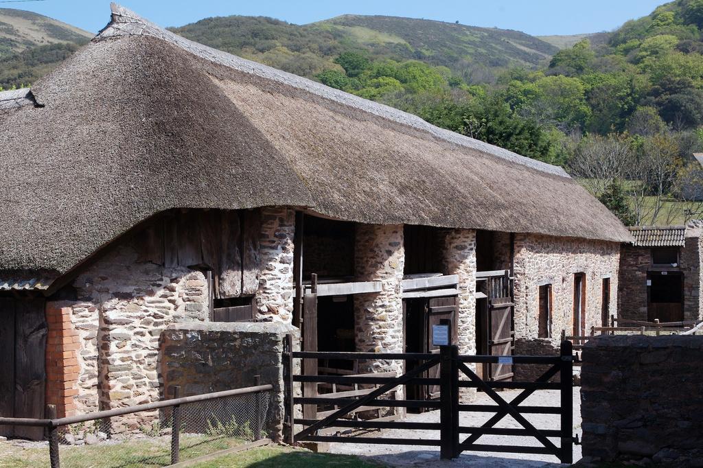 Exmoor Owl & Hawk Centre Bed and Breakfast Bossington Εξωτερικό φωτογραφία