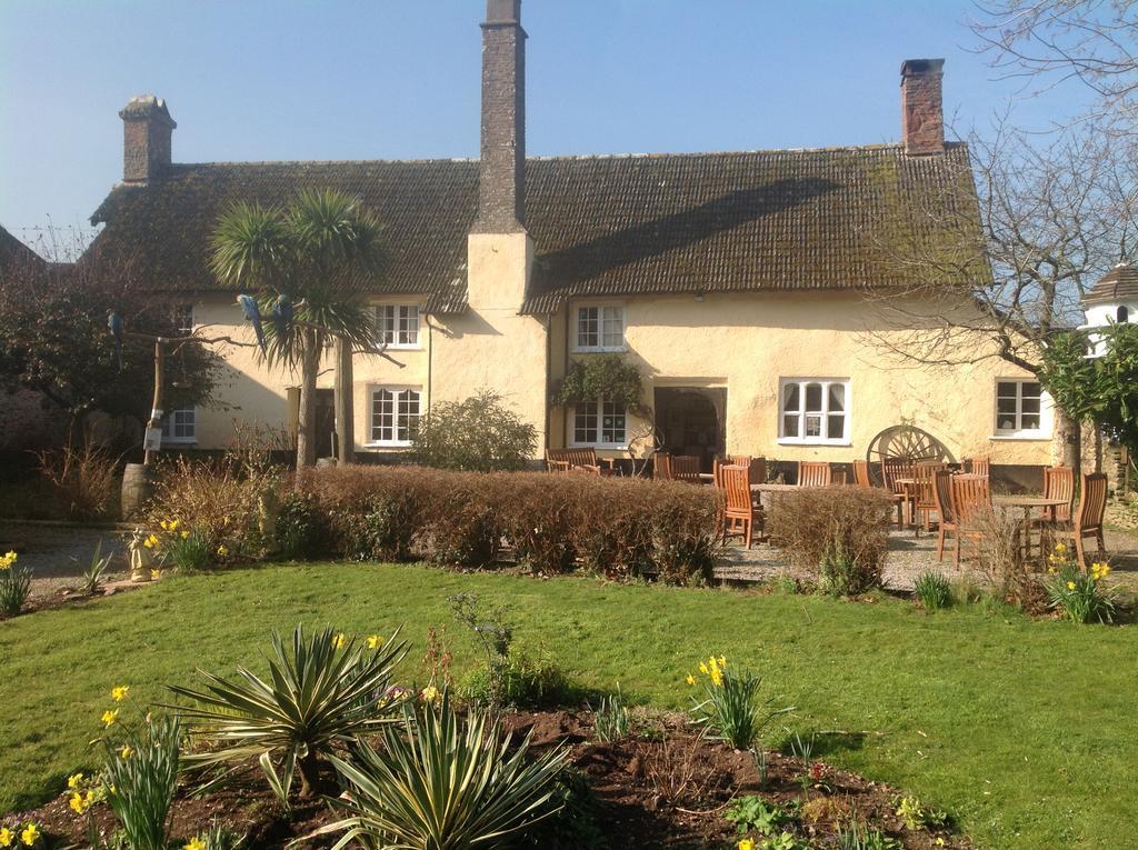 Exmoor Owl & Hawk Centre Bed and Breakfast Bossington Εξωτερικό φωτογραφία