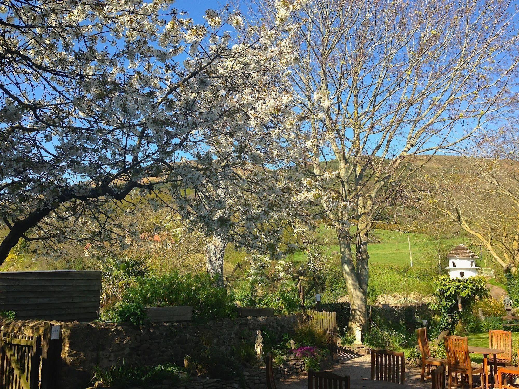 Exmoor Owl & Hawk Centre Bed and Breakfast Bossington Εξωτερικό φωτογραφία