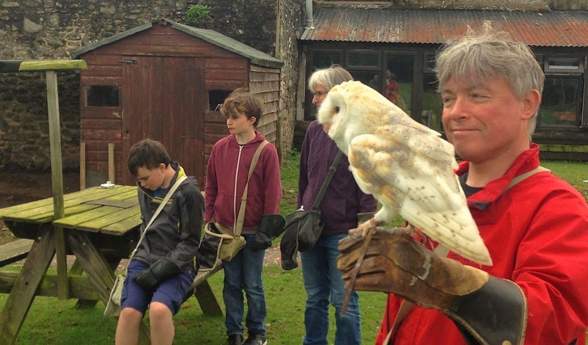 Exmoor Owl & Hawk Centre Bed and Breakfast Bossington Εξωτερικό φωτογραφία