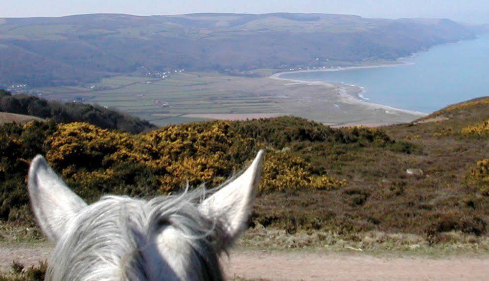 Exmoor Owl & Hawk Centre Bed and Breakfast Bossington Εξωτερικό φωτογραφία