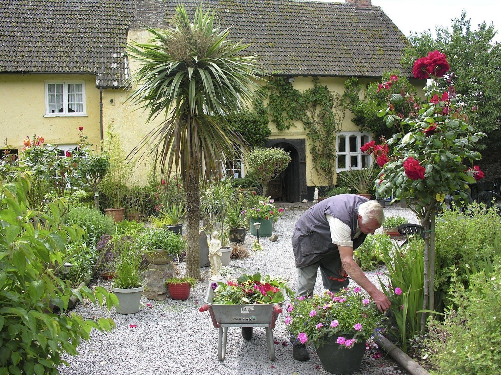Exmoor Owl & Hawk Centre Bed and Breakfast Bossington Εξωτερικό φωτογραφία